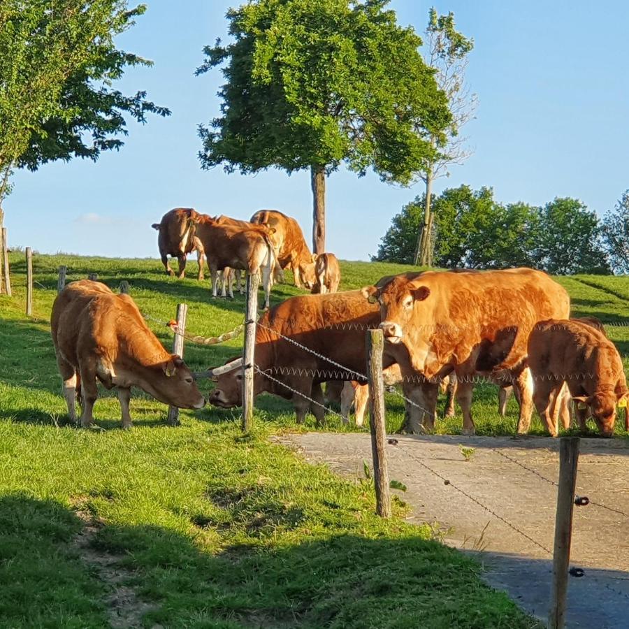 B&B Vroelen-Noorbeek Exterior foto