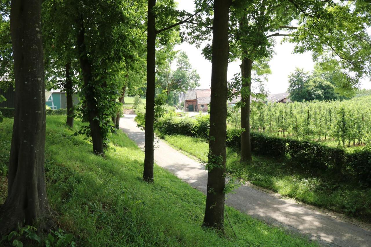 B&B Vroelen-Noorbeek Exterior foto